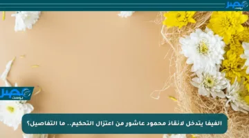 الفيفا يتدخل لإنقاذ محمود عاشور من اعتزال التحكيم.. ما التفاصيل؟